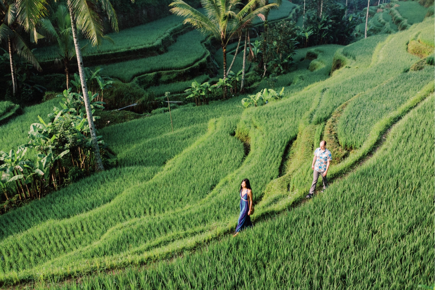 One Day West Nusa Penida Tour