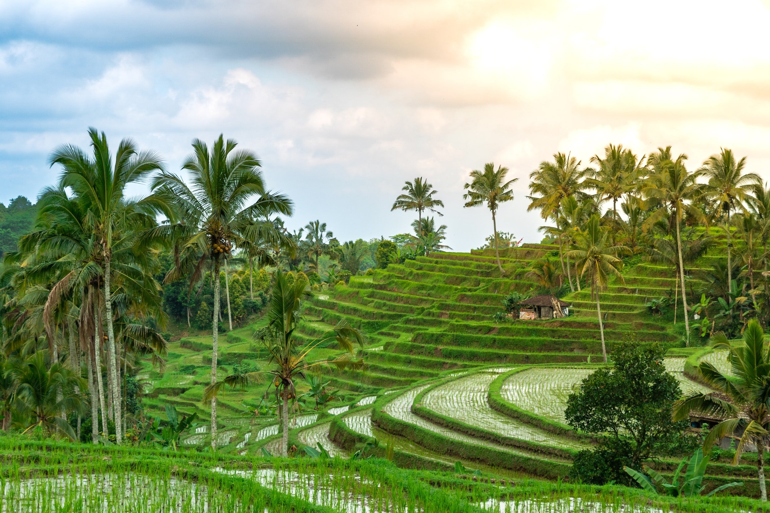 One Day West Nusa Penida Tour