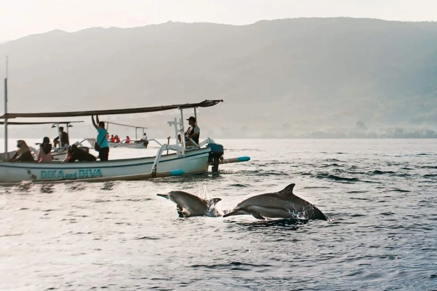 One Day West Nusa Penida Tour