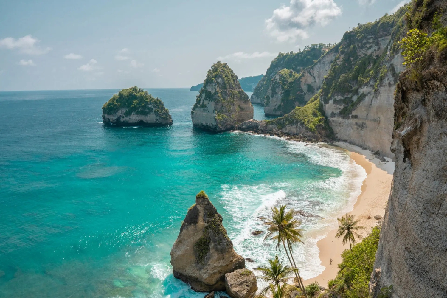 One Day West Nusa Penida Tour