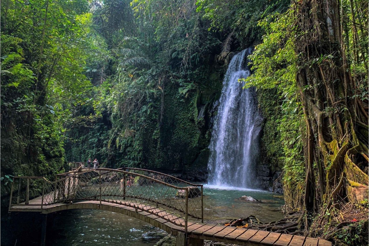 One Day West Nusa Penida Tour