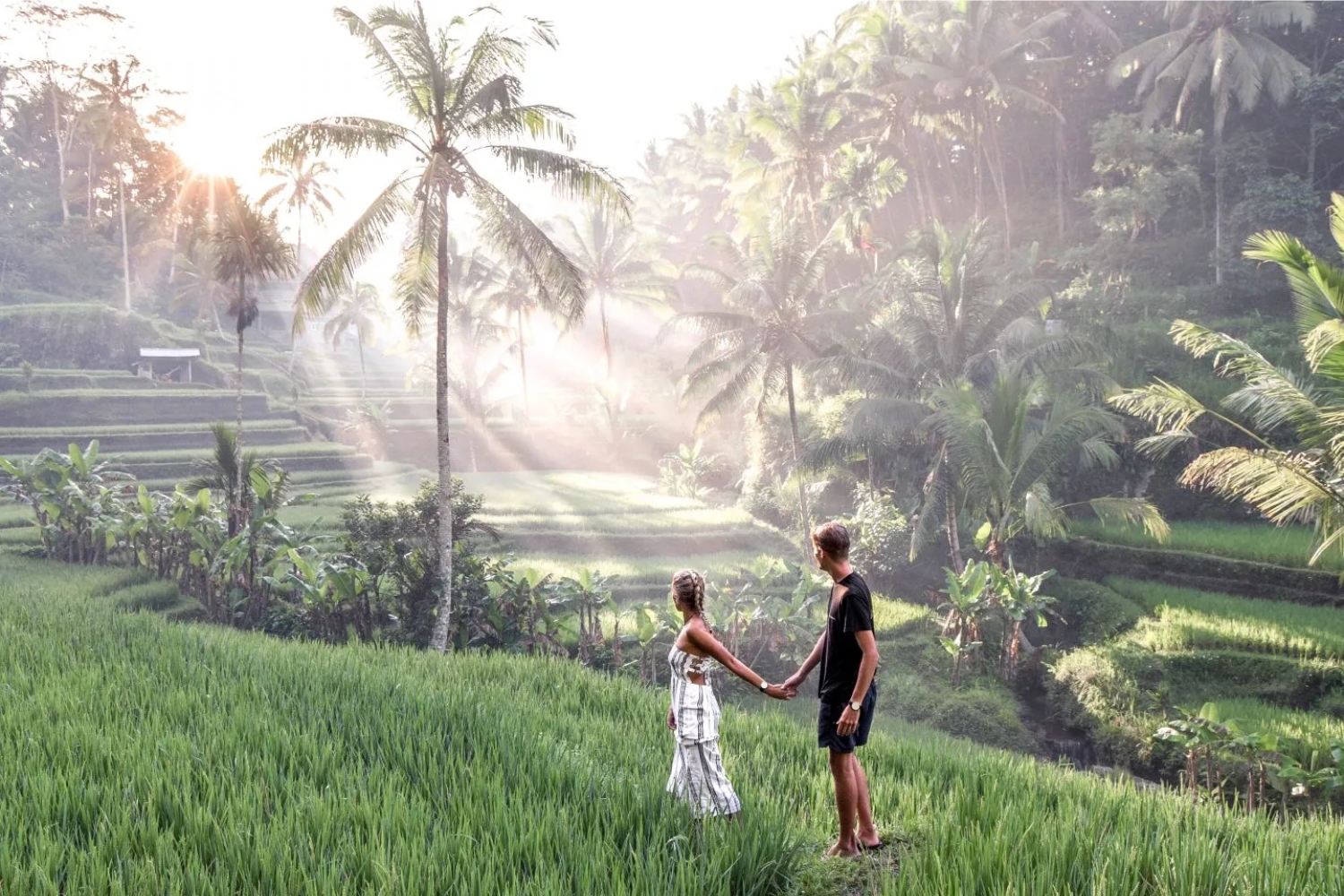 One Day West Nusa Penida Tour