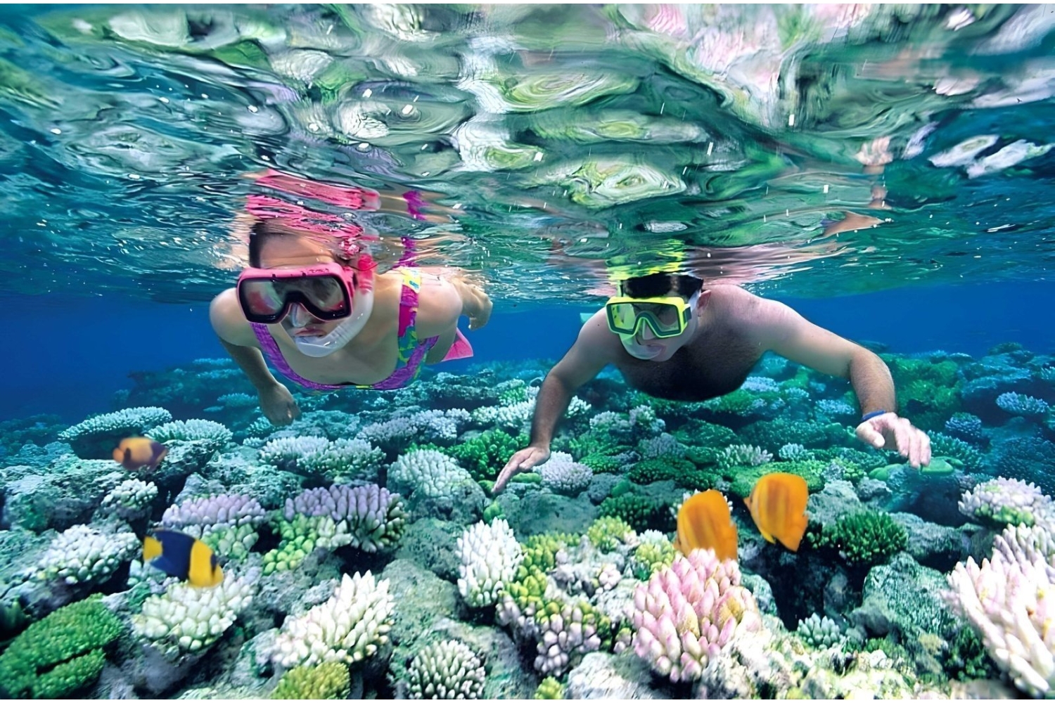 One Day West Nusa Penida Tour
