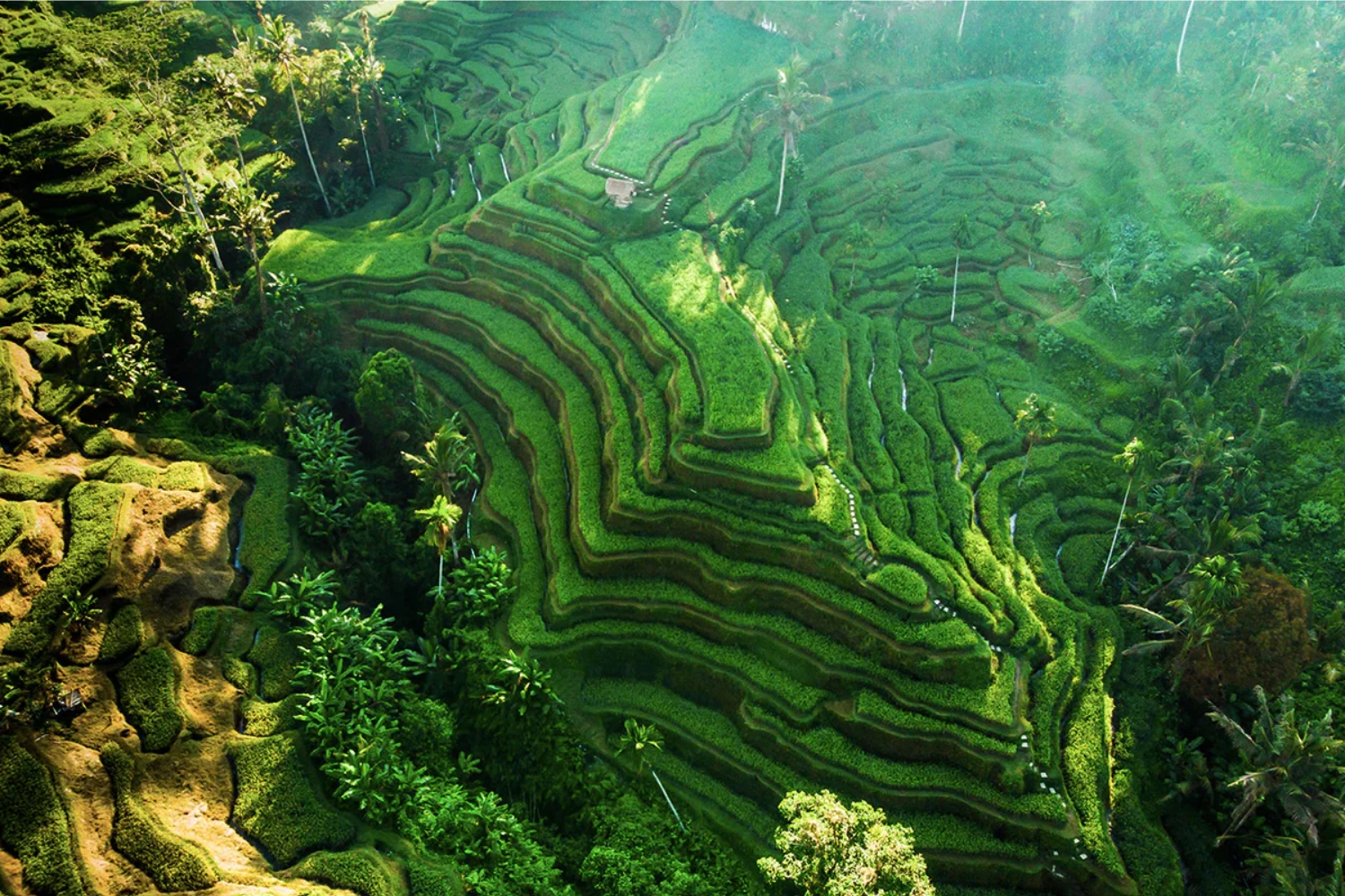 One Day West Nusa Penida Tour