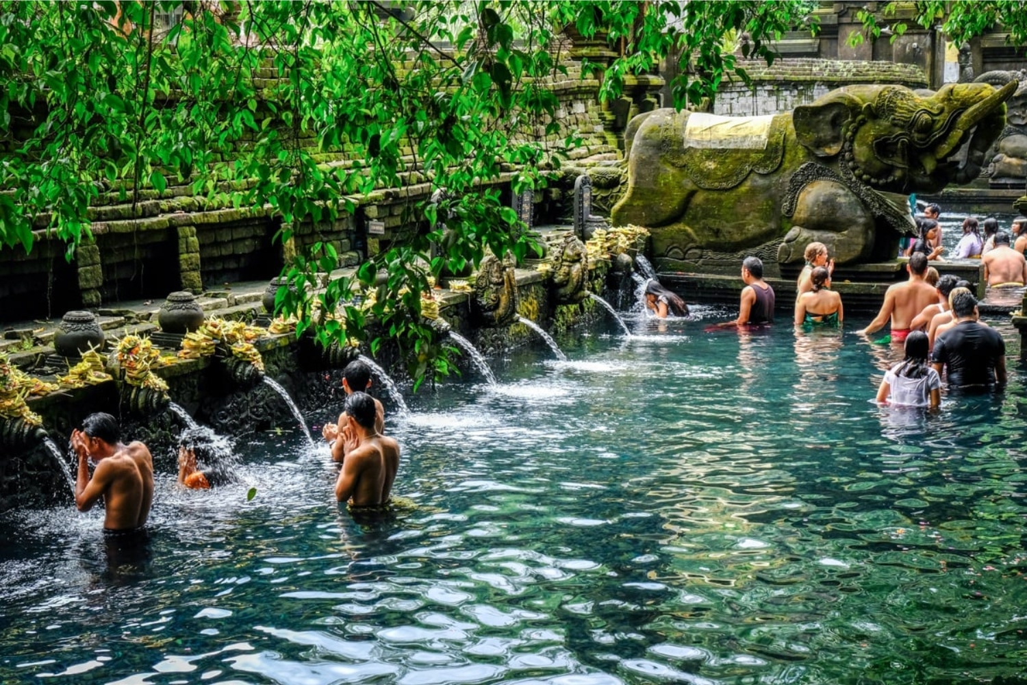 One Day West Nusa Penida Tour